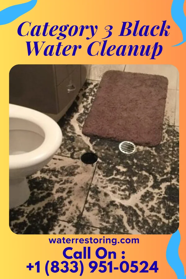 Category 3 Black Water Cleanup in New Post, WI