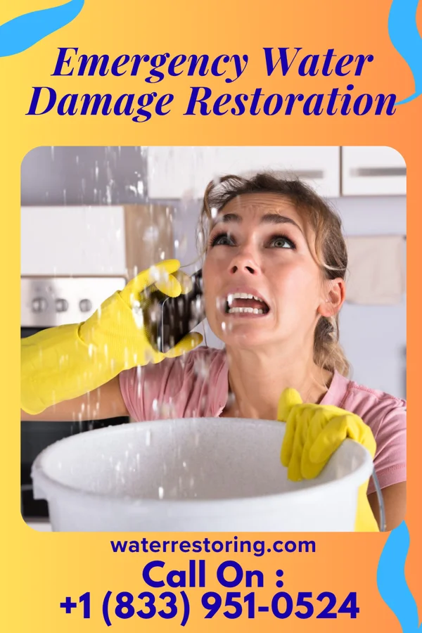 Emergency Water Damage Restoration in New Post, WI