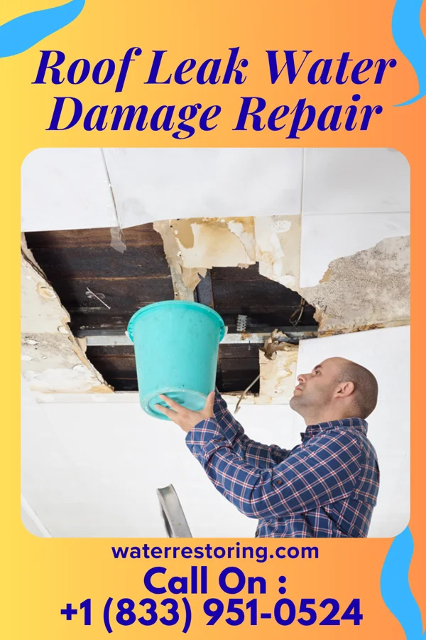 Roof Leak Water Damage Repair in New Post, WI