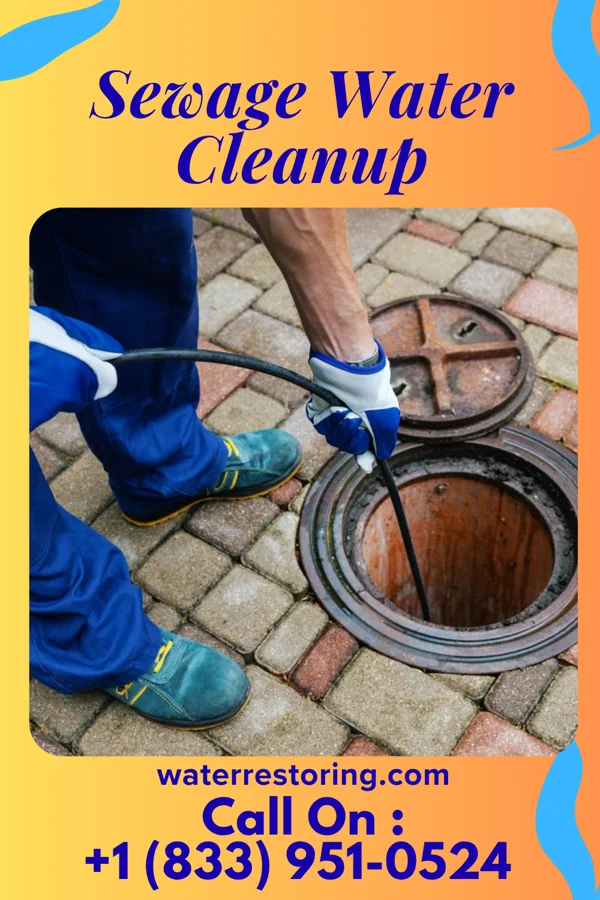 Sewage Water Cleanup in New Post, WI