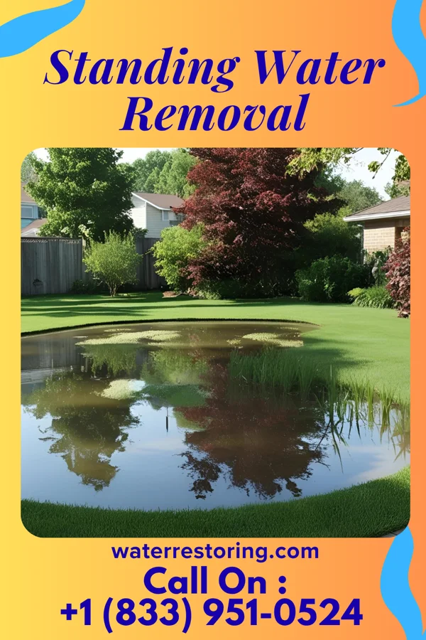 Standing Water Removal in New Post, WI